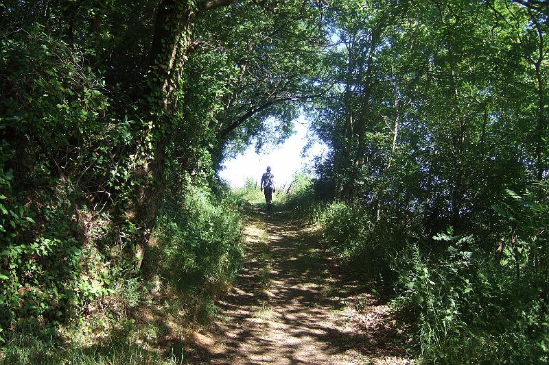 2011-05- (273).JPG